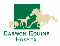 Barwon Equine Hospital